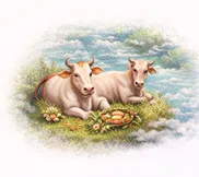 Mula Nakshatra